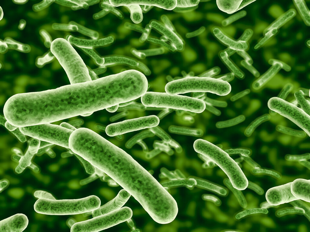 軍團(tuán)菌的危害 軍團(tuán)菌的危害